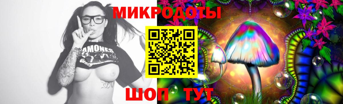 Галлюциногенные грибы мухоморы Электросталь